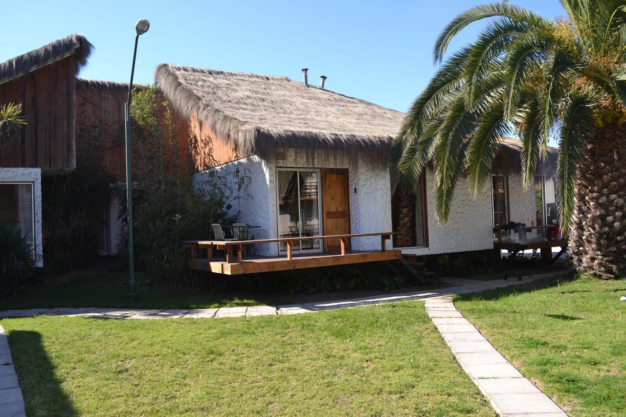 Cabanas Las Ananucas I ラ・セレナ エクステリア 写真